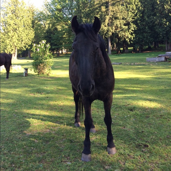 Meet your Posher, Haley - Picture 1 of 1