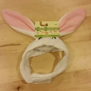 Bunny Hat for a dog to wear