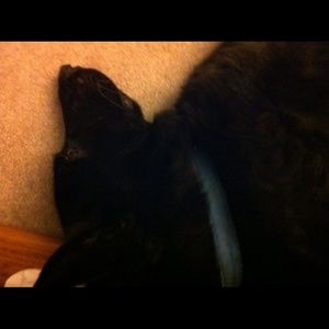 Meet your Posher, Marla