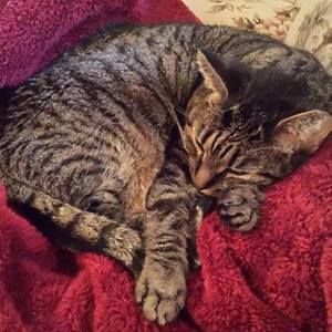 Meet your Posher, Ashlee