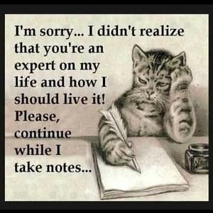 Meet your Posher, Sheila