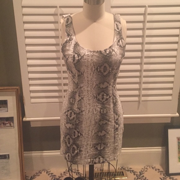 Ladakh Snake print fitted dress size 4