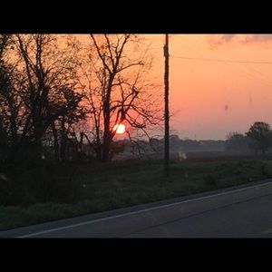 Meet your Posher, Penny