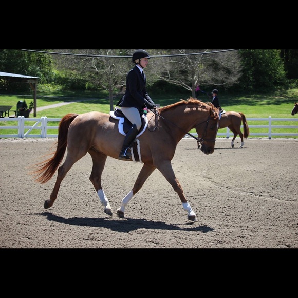 Meet your Posher, Kelsey - Picture 1 of 1