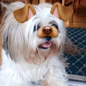 Meet your Posher, Erica