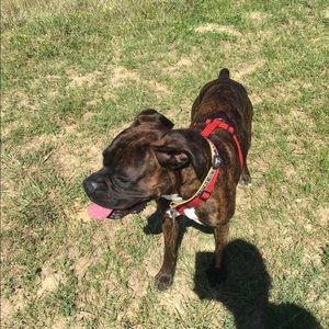 Meet your Posher, Von