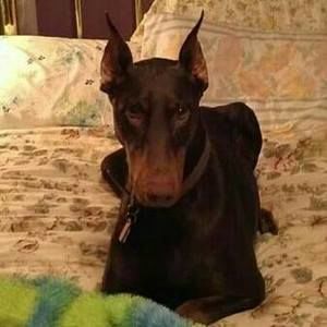 Meet your Posher, Gwen