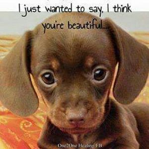 Meet your Posher, Ann