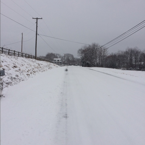 Meet your Posher, Ellie - Picture 2 of 2