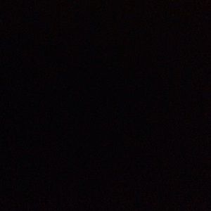 Meet your Posher, Terry