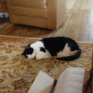 Meet your Posher, Cathy