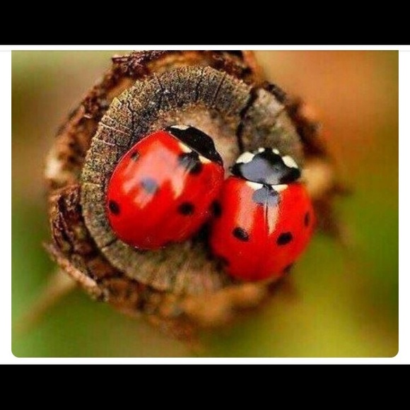 Meet your Posher, Empty Closet Boutique - Picture 3 of 6