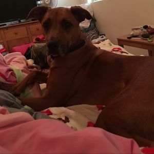 Meet your Posher, Andrea