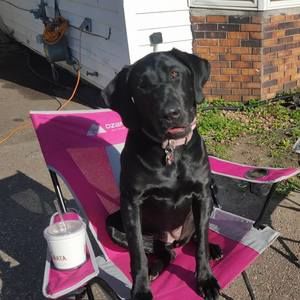 Meet your Posher, Geralin