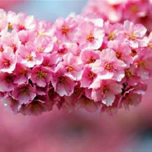 Meet your Posher, Margarita