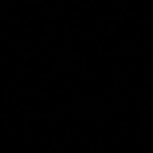 Meet your Posher, Patti