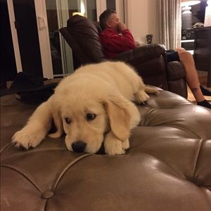 Meet your Posher, Kloe