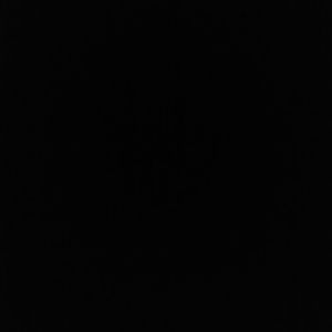 Meet your Posher, Luz