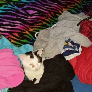 Meet your Posher, Vanessa