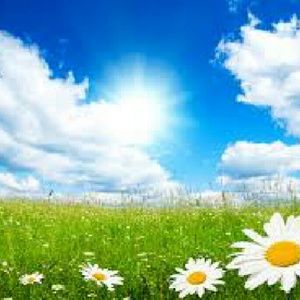 Meet your Posher, Carmen