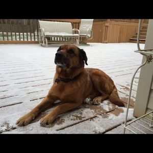 Meet your Posher, Monica