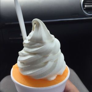 Meet your Posher, Payton