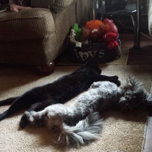 Meet your Posher, Charlene