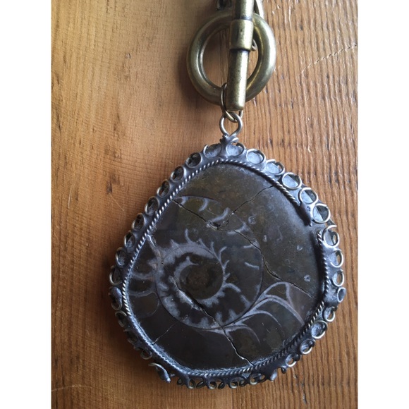 -FOSSIL NECKLACE- - Picture 2 of 4