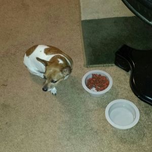 Meet your Posher, Shannon