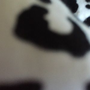 Meet your Posher, Morgan