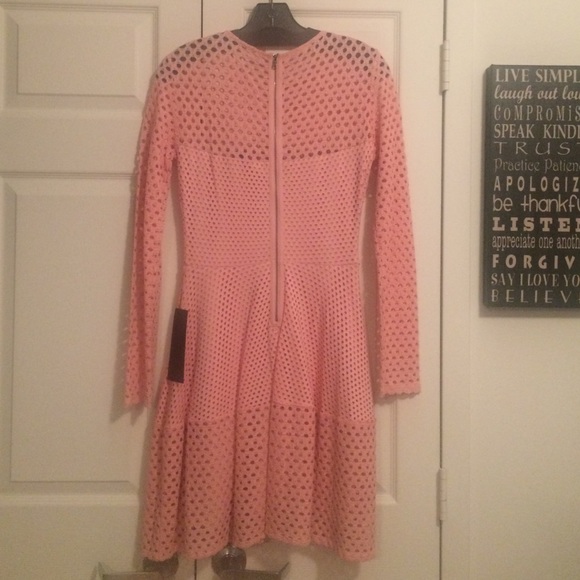 BCBG MAXAZIRA KYLA A-LINE LONG-SLEEVE DRESS - Picture 2 of 4