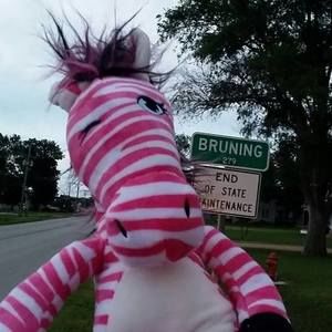 Meet your Posher, Shannon