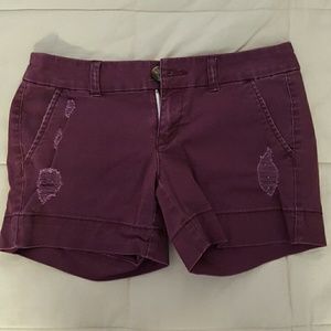 Maroon shorts