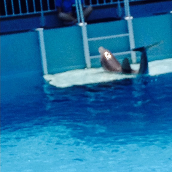 Meet your Posher, Bianca - Picture 1 of 1