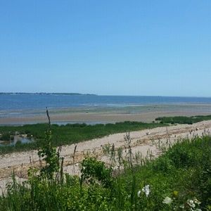 Meet your Posher, Simone