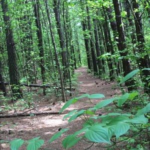 Meet your Posher, Kaitlyn