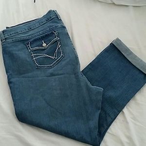 NYDJ Boyfriend Ankle Jean Denim Size 24