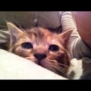 Meet your Posher, Nancy