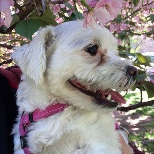 Meet your Posher, Pia