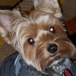 Meet your Posher, Brenda