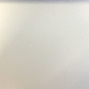 Meet your Posher, Dolly