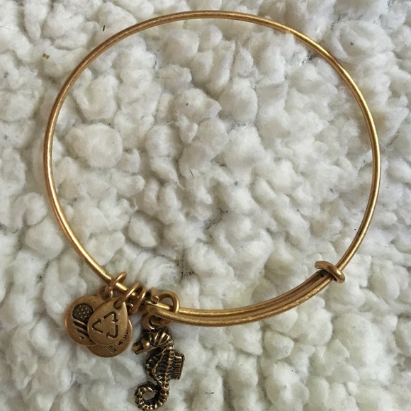 Authentic Alex and ani seahorse charm