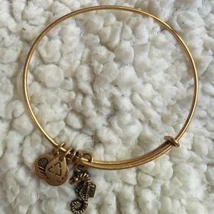 Authentic Alex and ani seahorse charm