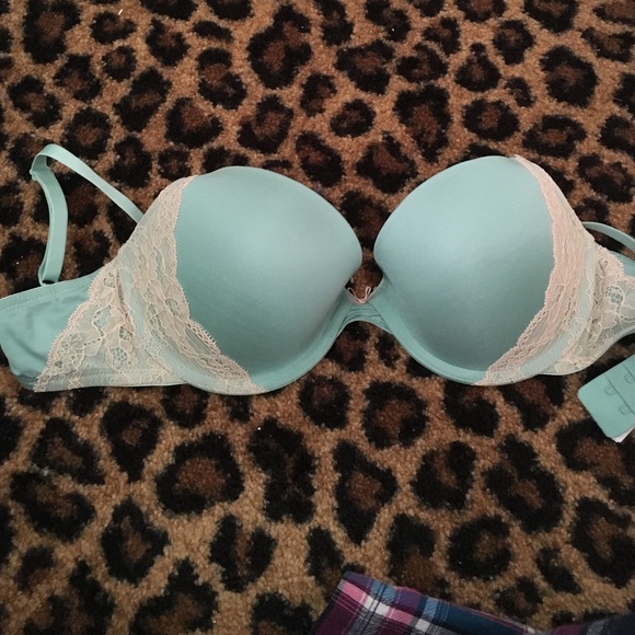 teal lace bra