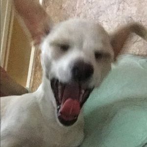 Meet your Posher, Zory