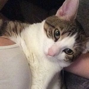 Meet your Posher, Charlie