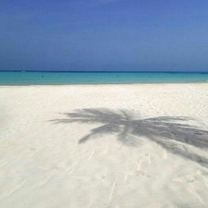 Meet your Posher, Kathern