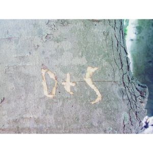 Meet your Posher, Shelby