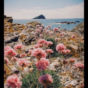 Meet your Posher, Izzy