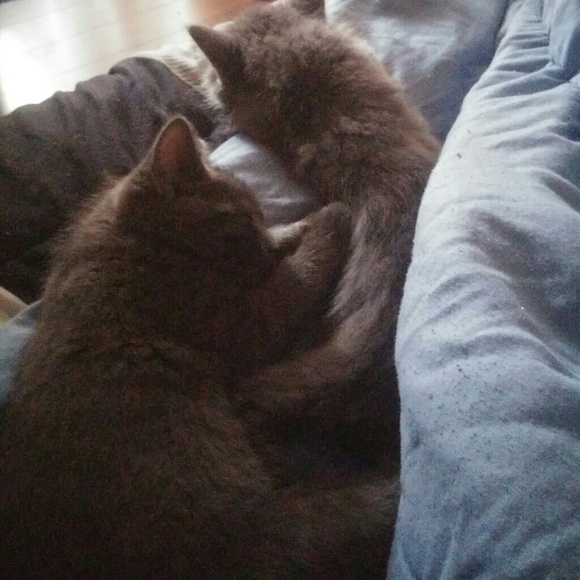 Meet your Posher, Ashley - Picture 1 of 1